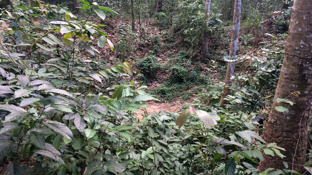 cu-chi-bombekrater