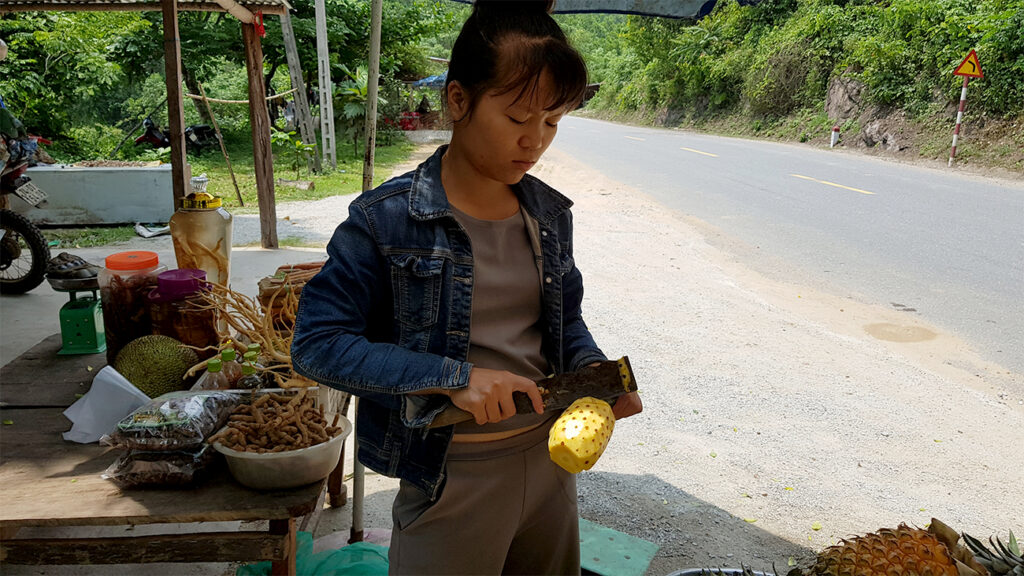 easy-rider-hue-hoi-an-kvinde-ananas