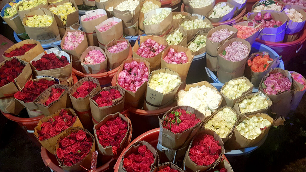 ho-chi-minh-city-food-tour-roser