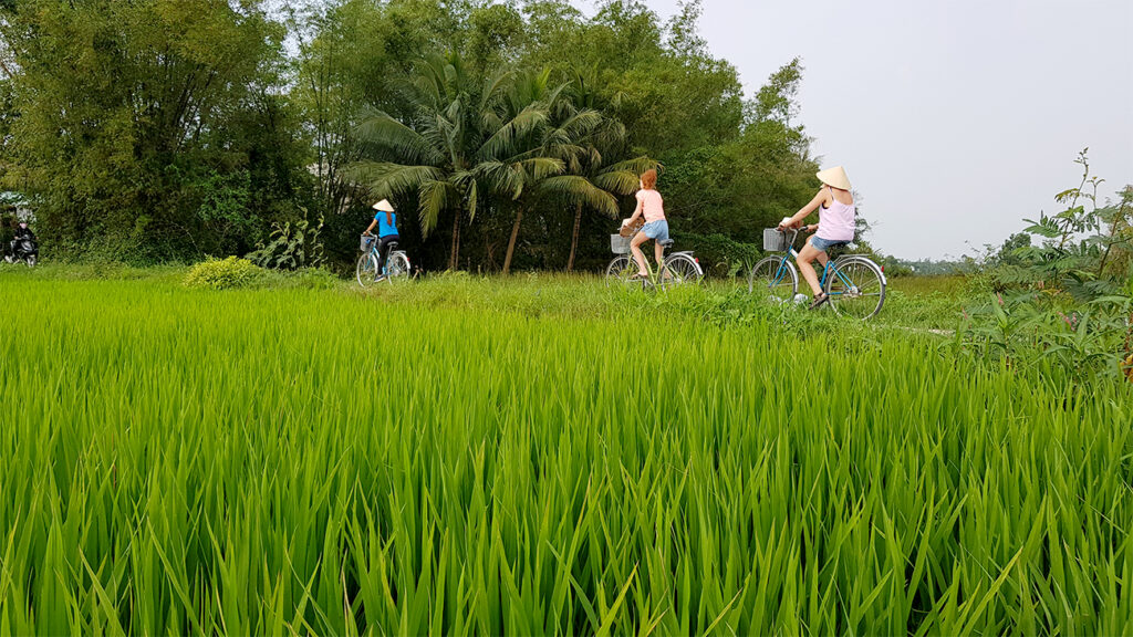 hoi-an-cykeltur-gaester-cykler