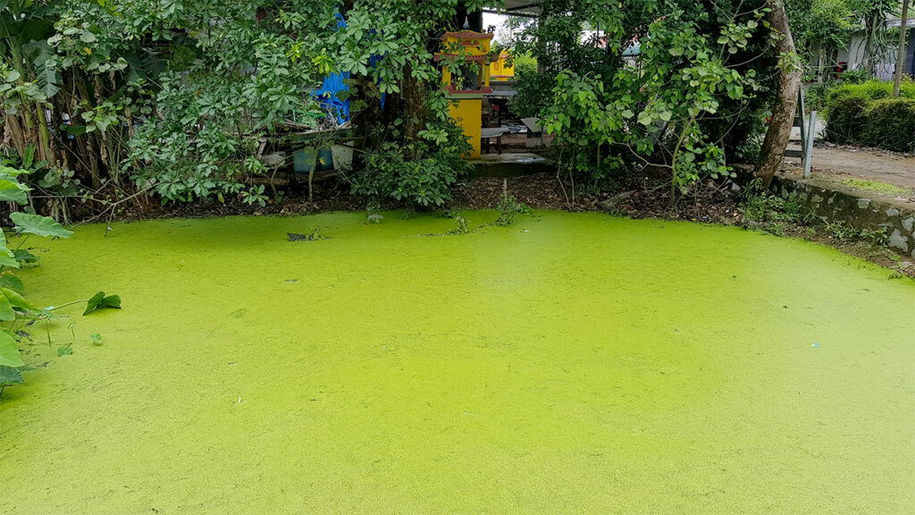 hue-cykeltur-groen-soe