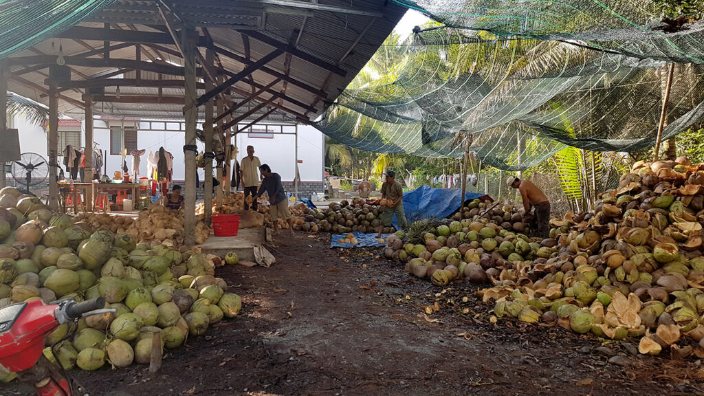 mekong-delta-kokusnoedder