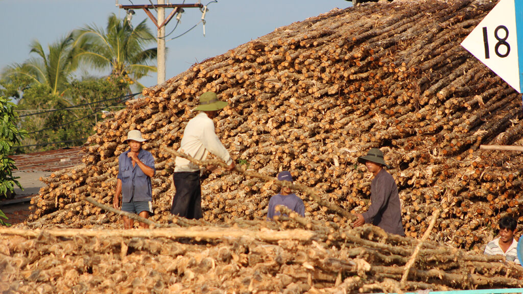 mekong-delta-trae-til-huse
