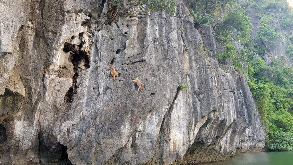 halong-bay-aber-bjerge